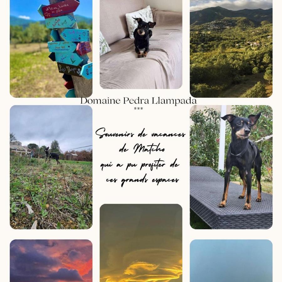 Domaine Pedra Llampada Gite Mer Villelongue-dels-Monts Ngoại thất bức ảnh